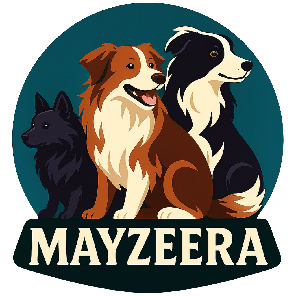 MAYZEERA – Éducation canine