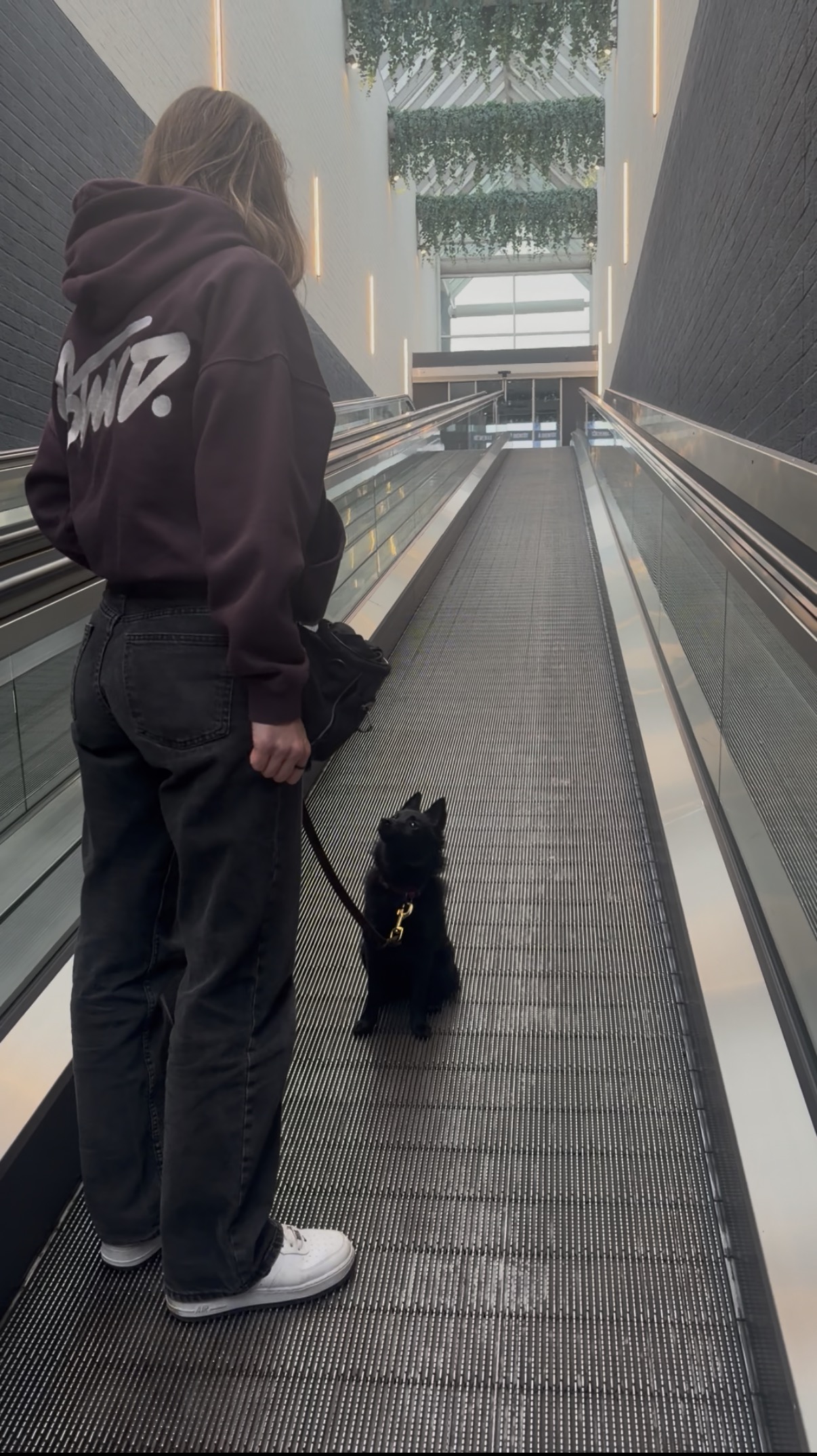 Travail éducatif MAYZEERA avec Maze sur un escalator
